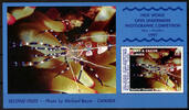 Turks- und Caicosinseln 1 Block Turks- und Caicosinseln, Mi-Nr. 1415 (Block 178), Tiermotiv Spinnen -