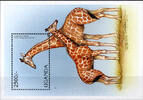 Uganda 1 Block Uganda, Mi-Nr. Bl. 269 (1794), Tiermotiv Giraffen -
