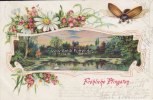 Deutsches Reich Prägekarte/Ansichtskarte/Fröhliche Pfingsten/Maikäfer, Blumen, Landschaft -