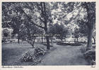 Marienheim / Salzkotten Ansichtskarte / Postkarte / Marienheim, Salzkotten / Park -