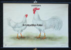 Bundesrepublik Deutschland Schulwandkarte / Schul Lehrtafel / Rollbild Karte / Biologie / Leghorn / Huhn -