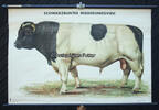 Bundesrepublik Deutschland Schulwandkarte / Schul Lehrtafel / Rollbild Karte / Biologie / Bulle / ... -