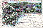 Amerika, Stadt-Penig / Sachsen Lithographie/Gruss aus Amerika -
