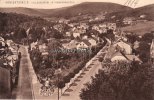 Königstein i. T. Ansichtskarte/Postkarte/Königstein i. T./Villenviertel im Reichenbachtal. -