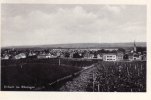 Erbach im Rheingau Ansichtskarte/Postkarte/Erbach im Rheingau -