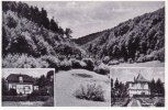 Ransel/Lorch Ansichtskarte/Postkarte/<i>Jagdhaus Waldfriede</i>/Vegetarisches Erholungsheim/... -