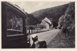 Bad Schwalbach Ansichtskarte/Postkarte/Rest. u. Pension <i>Riesenmühle</i>/im Wispertal - Bes. Gg... -