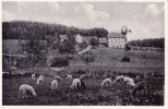 Michelstadt/Vielbrunn/Bremhof Ansichtskarte/Postkarte/Gasthaus u. Pension Joh. Stier/Höhenlutfkurort -