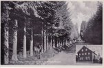 Michelstadt/Vielbrunn Ansichtskarte/Postkarte/Gasthaus und Pension zum Hirsch/Diese herrlichen... -
