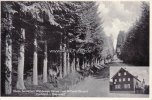 Michelstadt/Vielbrunn Ansichtskarte/Postkarte/Gasthaus und Pension zum Hirschen/Diese herrlichen... -