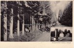 Michelstadt Ansichtskarte/Postkarte/Waldgaststätte Forsthaus, Eulbach -