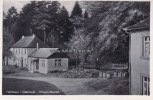 Michelstadt/Vielbrunn Ansichtskarte/Postkarte/Hainhaus, die Perle des Odenwals/Höhenluftkurort/... -