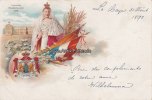 Niederlande Litho/Souvenir Kroningsjaar 1898 -