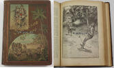 Deutsches Reich um 1910 Daniel Defoe / Leben und seltsame, &uuml;berraschende... 18.62 &pound;  +  10.16 &pound; shipping