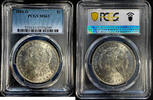   American Morgan Dollar Silver Coin 1884 o MS-63 PCGS  87.86 £  +  29.78 £ shipping