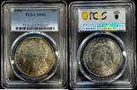   American Morgan Dollar Silver Coin 1896 MS-62 PCGS  81.91 £  +  29.78 £ shipping