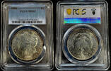   American Morgan Dollar Silver Coin 1886 MS-62 PCGS  81.91 £  +  29.78 £ shipping