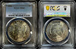   American Morgan Dollar Silver Coin 1886 MS-62 PCGS  81.91 £  +  29.78 £ shipping
