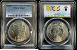   American Morgan Dollar Silver Coin 1887 MS-62 PCGS  81.91 £  +  29.78 £ shipping
