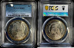   American Morgan Dollar Silver Coin 1883 o MS-63 PCGS  93.08 £  +  29.78 £ shipping