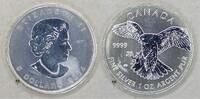 Kanada 5 Dollars Queen Elizabeth II - Peregrine falcon -
