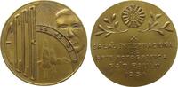 Brasilien Medaille Bronze vergoldet (?) Sao Paulo Kunstausstellung, auf die Internationale Photo - Kunstausstellung in Sao Paulo, FCCB mit Blendens -