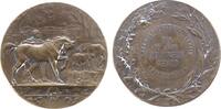 Medaille 1910 Landwirtschaft Bronze Frankfurt - auf die 50-Jahrfeier des landwirtschaftlichen Vereins, Junger Mann mit Pferden / Mehrzeiler, v. D...