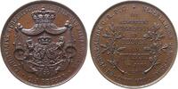 Niederlande Medaille 1897 Bronze Utrecht - auf das VI. Treffen der numis... 82.36 £  +  30.34 £ shipping