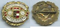 Österreich Kärnten Abzeichen Anstecknadel A1103 - Kärntner Verein Edelweiss 1891 für Wien und NÖ -