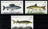 Bund Bund, Michel Nr. 3169-3171 postfrisch - Fische / Äsche / Stör / Barbe -