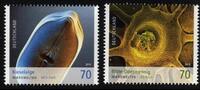 Bund Bund, Michel Nr. 3192-9193 postfrisch - Mikrowelten: Kieselalge, Odermennig-Blüte -