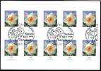 Bund Bund, Folienblatt 1 gestempelt ESST - Blumen MiNr. 2515 Narzisse -