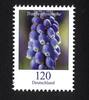 Bund Bund, Michel Nr. 3447 postfrisch - Freimarke Blumen 120 cent Traubenhyazinthe (Muscari sp.) -