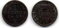 Schaumburg - Lippe 1 Pfennig -