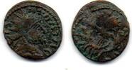 Tetricus Minimi -
