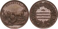 Gartenbau und Landwirtschaft Bronzemedaille -