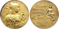 Weltausstellungen Vergoldete Bronzemedaille Paris. Frankreich -