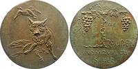 Kunstmedaillen Bronzegussmedaille Rüppel, Barbara -