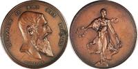 Belgium Medal King Leopold II by A. Fonson -