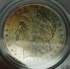 USA Dollar 1884-O Morgan Silver Coin $1 PCGS MS-65 Toned Gem RL -