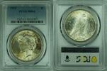 USA Dollar Peace Silver S$1 PCGS MS-63 W/Toning (25A) -