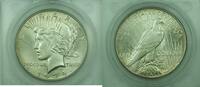 USA Dollar Peace Silver Toned In Hard Plastic Holder -