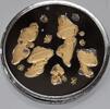 Exonumia 50th Anniversary of Disney's Fantasia 1oz Silver Round/Mushroom Dancers -
