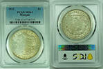 USA 1 Dollar Morgan Silver $ Coin Toned PCGS MS 63 (4) B -