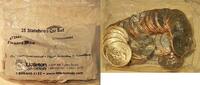 USA Quarter 35 Coin P&D Statehood Set UNC in Littleton Packaging -