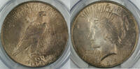 USA Dollar Peace Silver Coin, PCGS MS-63 Toned -