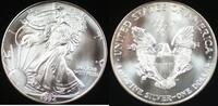 USA American Silver Eagle ASE BU in Deluxe Case -