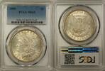 USA $1 Coin 1880 Morgan Silver Dollar  PCGS MS-62 Toned (16) PCGS MS-62 ... 134.24 £ Tax included +  18.49 £ shipping