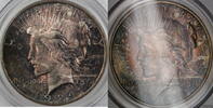 USA Dollar Peace Silver PCGS MS-64 *Beautiful Toning* Toned -
