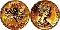 KANADA 1 Cent KM 59.1 - Zuckerahornzweig -